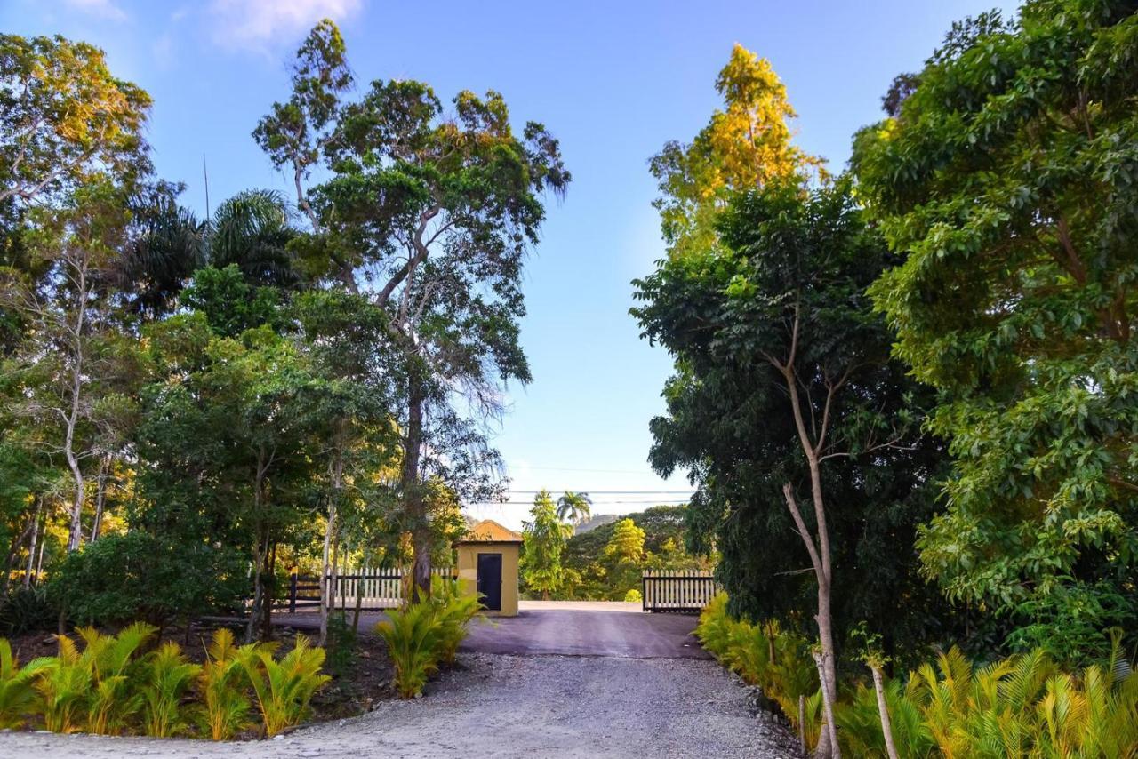 Hacienda La Huerta Puerto Plata, 1 Bdr Βίλα Εξωτερικό φωτογραφία