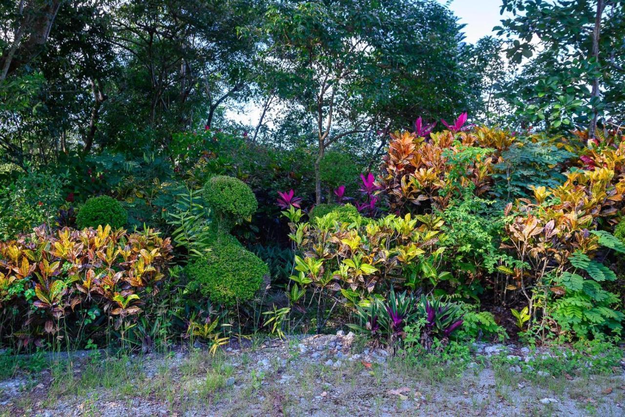 Hacienda La Huerta Puerto Plata, 1 Bdr Βίλα Εξωτερικό φωτογραφία